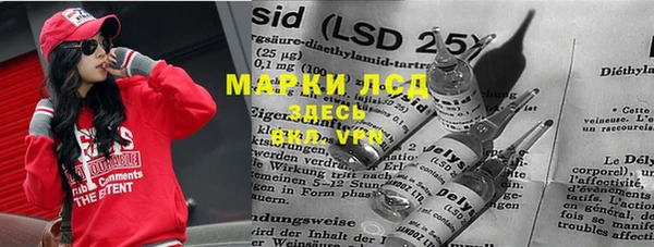 прущие грибы Абаза