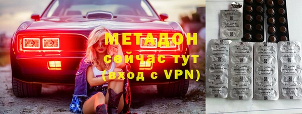 прущие грибы Абаза